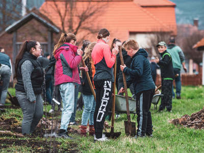 Gyümölcsfát a jövőért